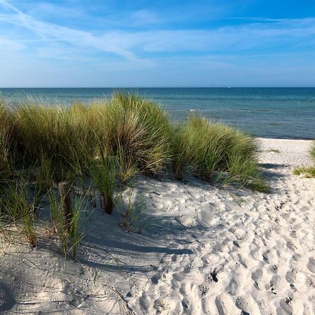 Daenische Ferienhaeuser Am Salzhaff Haus Vogelparadies Insel Poel Bagian luar foto