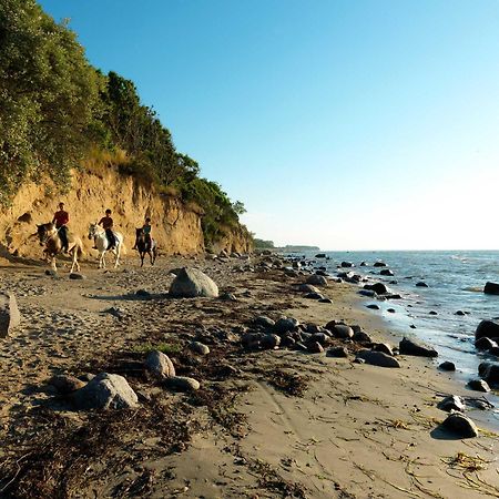 Daenische Ferienhaeuser Am Salzhaff Haus Vogelparadies Insel Poel Bagian luar foto