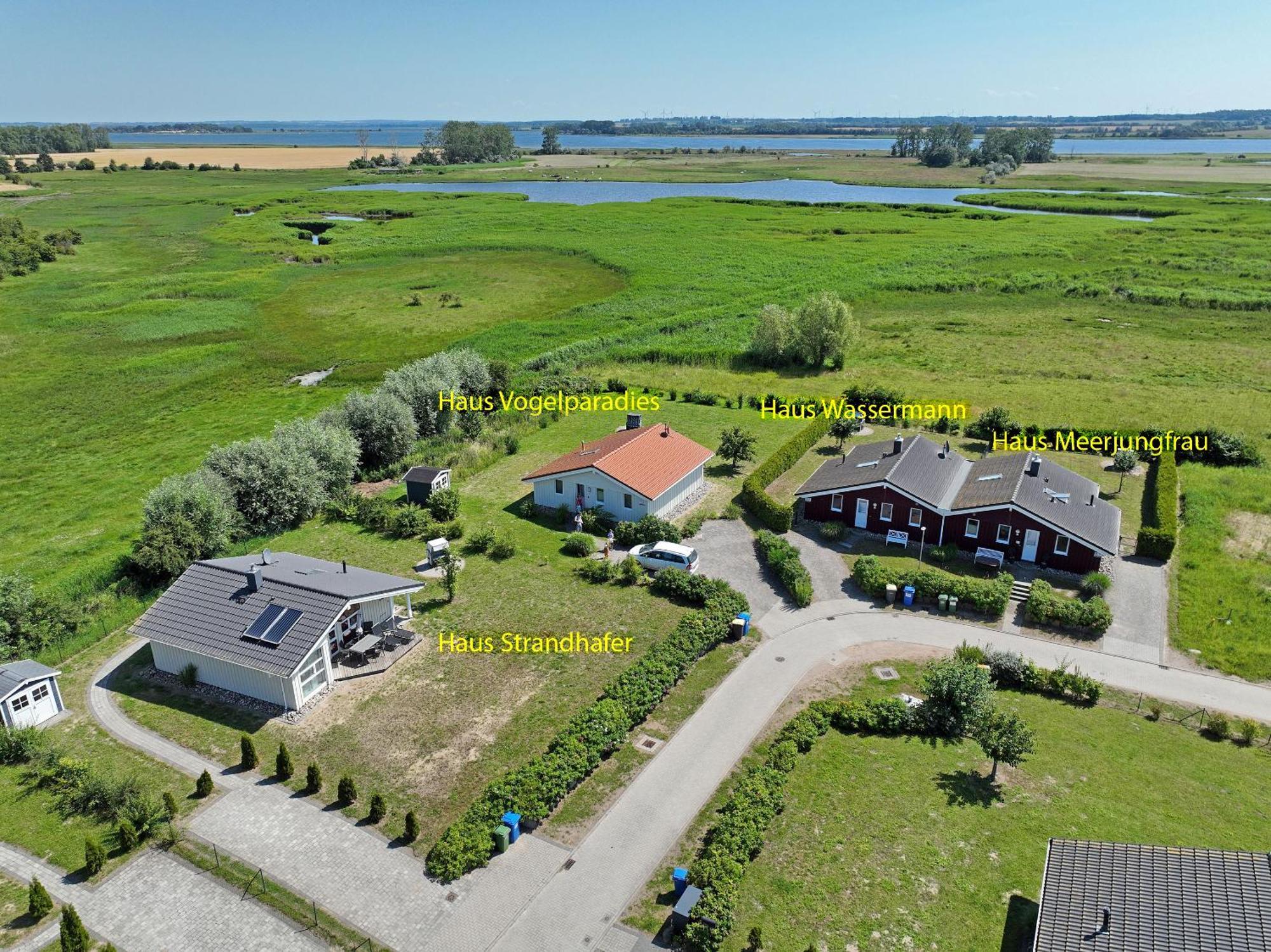 Daenische Ferienhaeuser Am Salzhaff Haus Vogelparadies Insel Poel Bagian luar foto