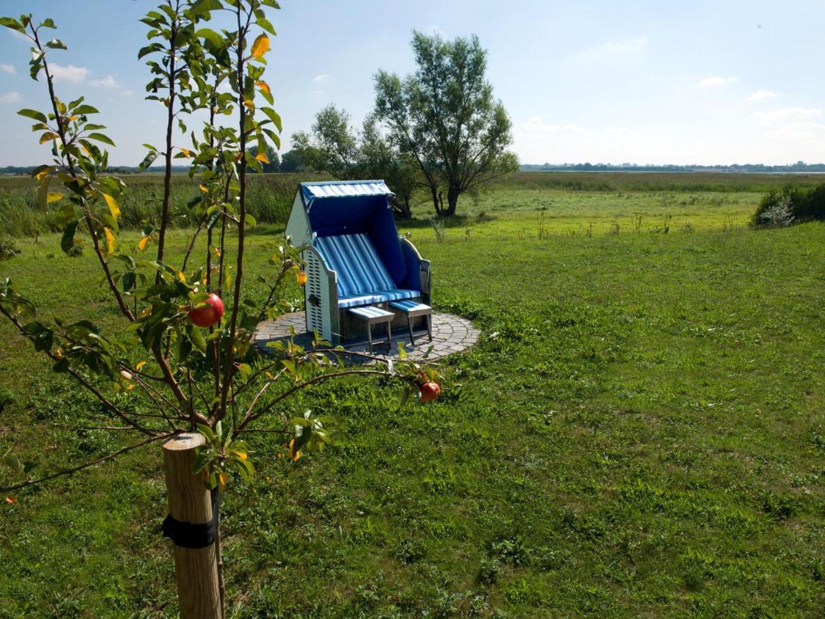 Daenische Ferienhaeuser Am Salzhaff Haus Vogelparadies Insel Poel Bagian luar foto